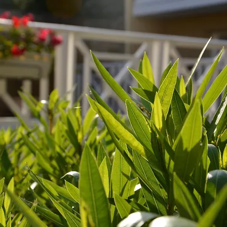 Les Comtes De Pardiac - Logis