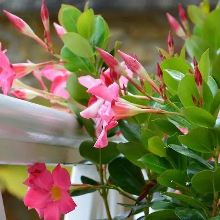 Les Comtes De Pardiac - Logis 3*